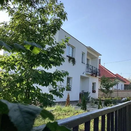Nyúlászó és Galéria *