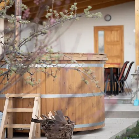 Nyulaszo Vendeghaz Es Galeria Case de vacanță